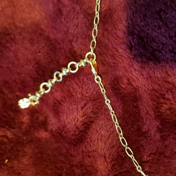 Shell Necklace - Picture 5 of 6